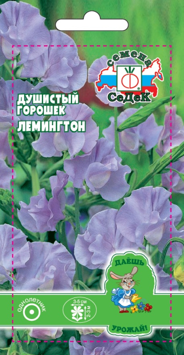 Душистый горошек Лемингтон (ДУ)