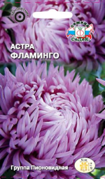 Астра Фламинго