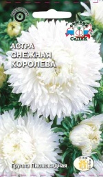 Астра Снежная Королева