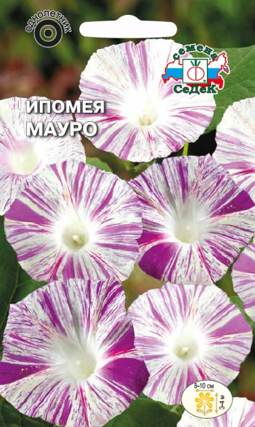 Ипомея Мауро