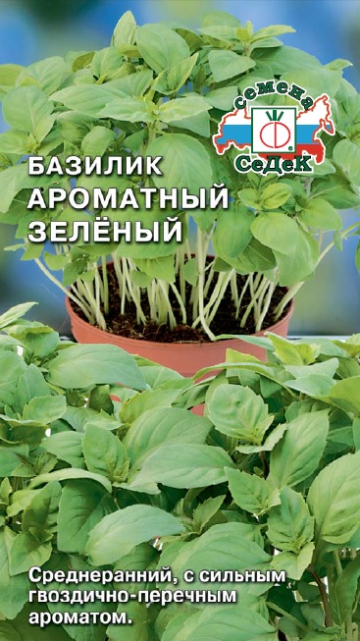 Базилик Ароматный Зеленый