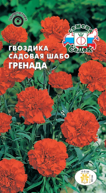 Гвоздика садовая Шабо Гренада