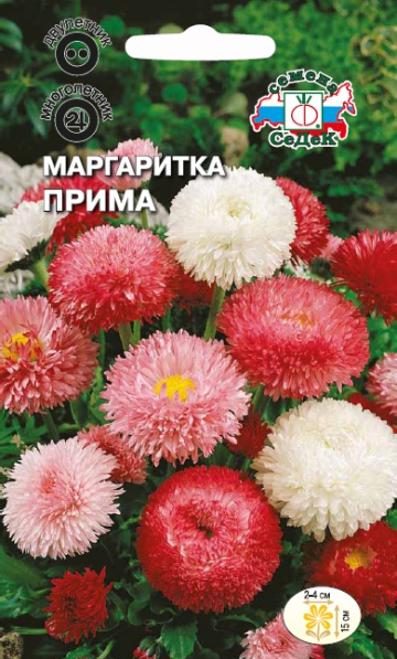Маргаритка Прима (смесь)