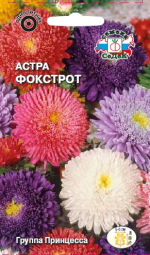 Астра Фокстрот