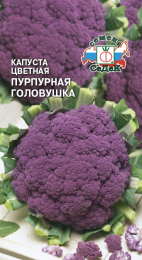 Капуста Пурпурная Головушка 