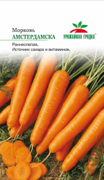 Морковь Амстердамска - Урожайная грядка