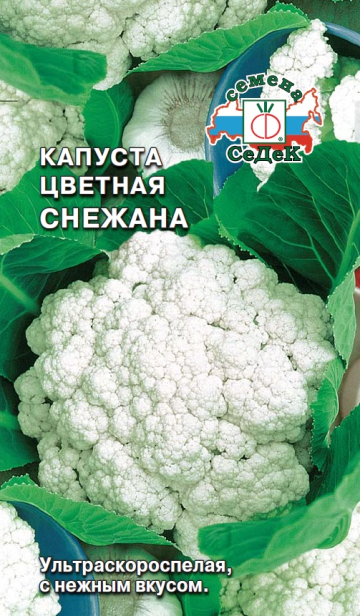 Капуста Снежана F1