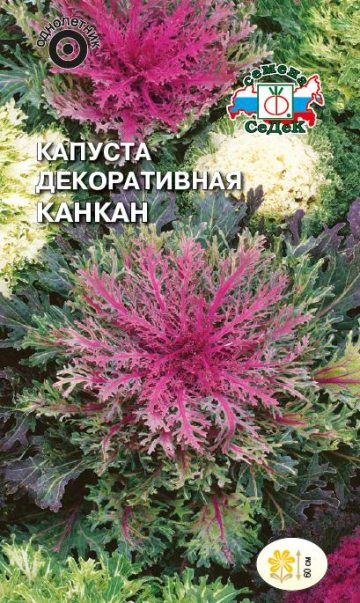 Капуста Канкан декоративная (смесь сортов)