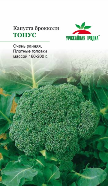 Брокколи тонус описание. Семена капуста брокколи тонус. Капуста тонус. Капуста брокколи тонус описание сорта. Тонус капуста семена.