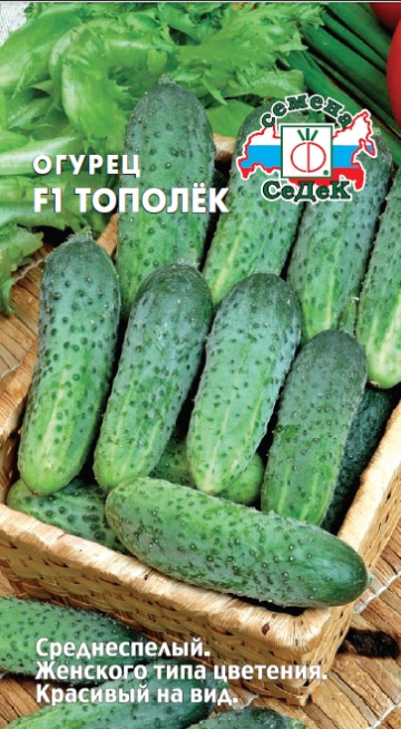   F1