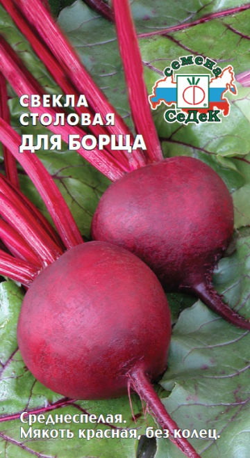 Свекла Для Борща