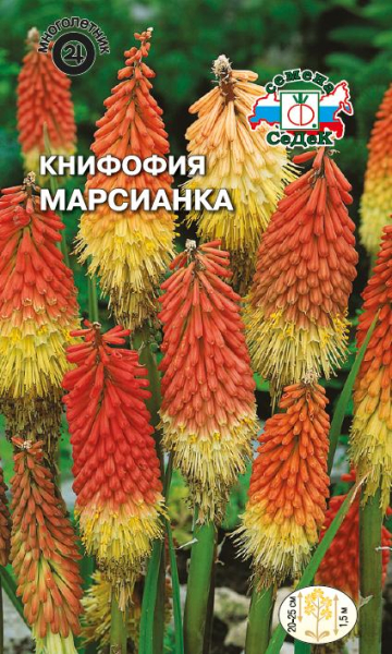 Книфофия ягодная Марсианка