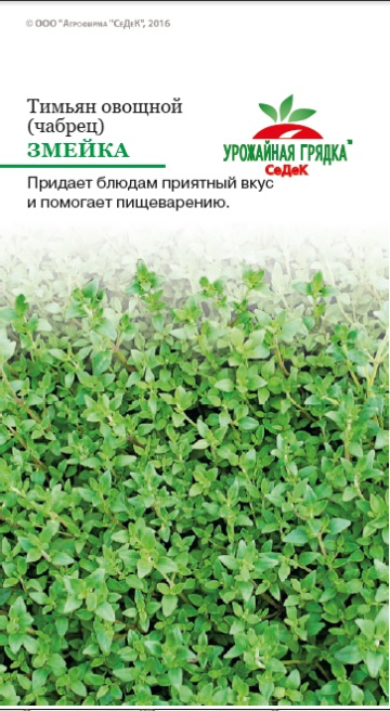 Тимьян овощной (чабрец) Змейка