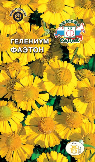 Гелениум Фаэтон