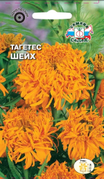 Тагетес Шейх (прямостоячий, хризантемовидный, темно-оранжевый)