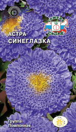 Астра Синеглазка