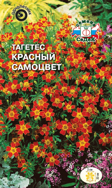 Тагетес Красный Самоцвет