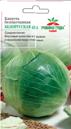 Капуста Белорусская 455 - Урожайная грядка
