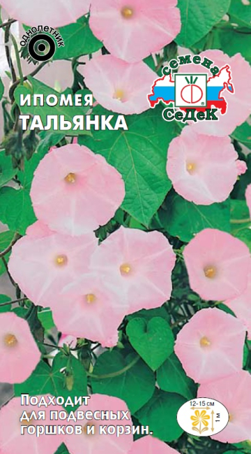 Ипомея Тольянка