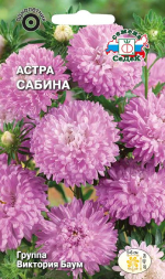 Астра Сабина