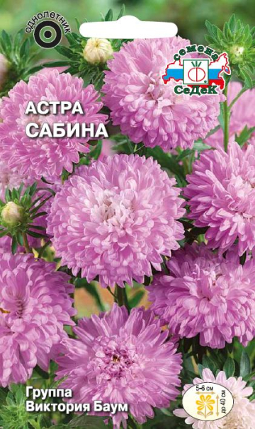 Астра Сабина