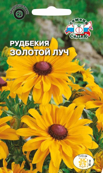 Рудбекия Золотой луч