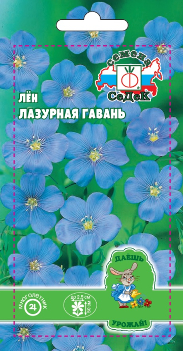 Лён Лазурная гавань (многолетний, голубой)