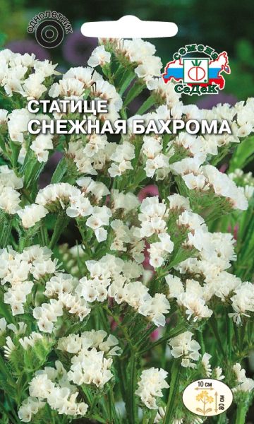 Статице Снежная Бахрома
