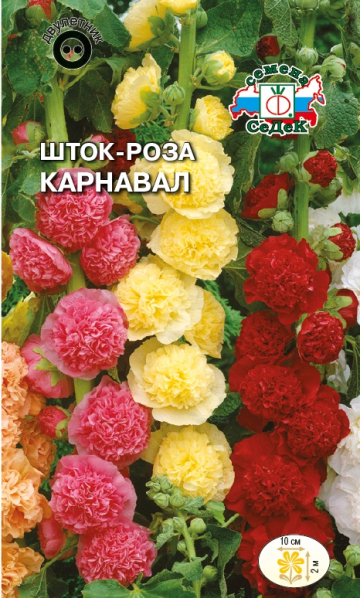 Шток-роза Карнавал
