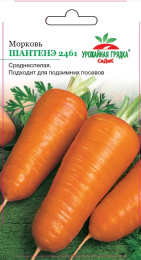 Морковь Шантенэ 2461 - Урожайная грядка