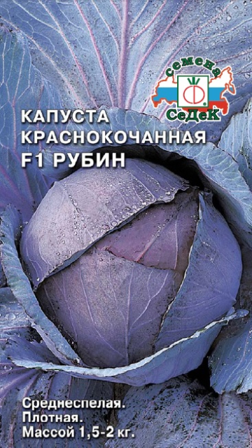 Капуста Рубин