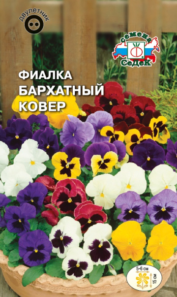 Фиалка Бархатный ковер Швейцарский гигант (смесь)