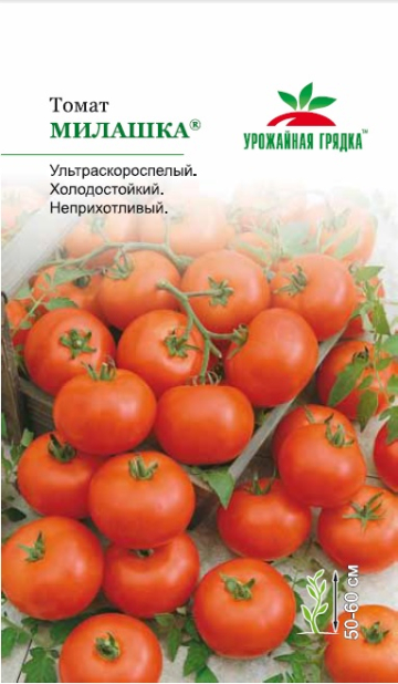 Томат Милашка