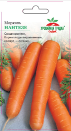 Морковь Нантезе - Урожайная грядка