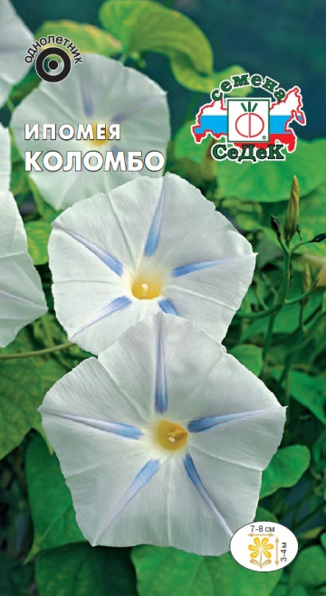 Ипомея Коломбо