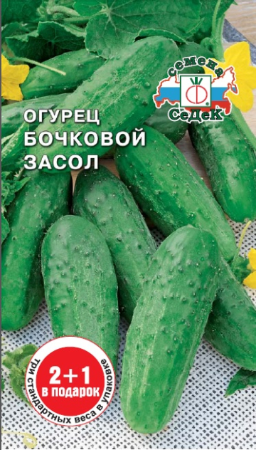 Огурец Бочковой засол