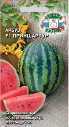    F1
