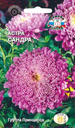 Астра Сандра