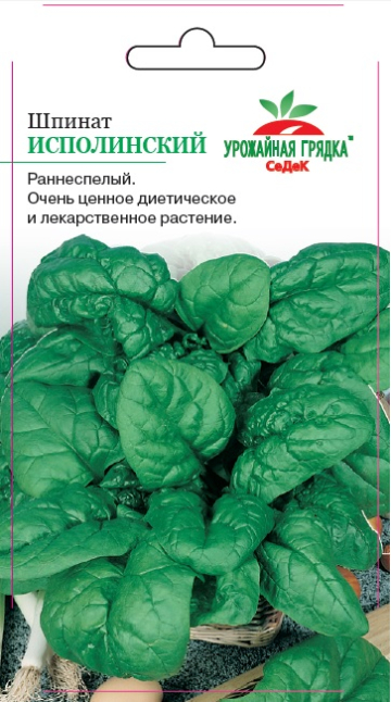 Шпинат Исполинский