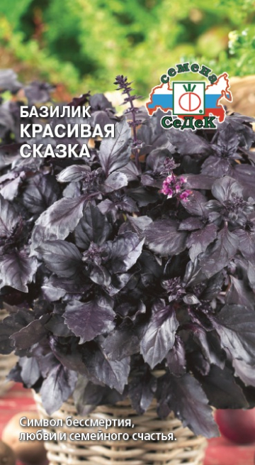 Базилик Красивая Сказка