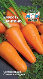Морковь Шантино