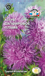 Астра Сапфировое Пламя