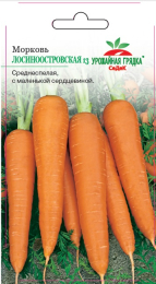 Морковь Лосиноостровская 13 - Урожайная грядка