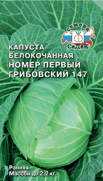 Капуста №1 Грибовский 147
