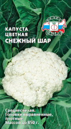 Капуста Снежный шар
