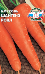 Морковь Шантенэ роял