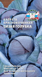 Капуста Сизая голубка