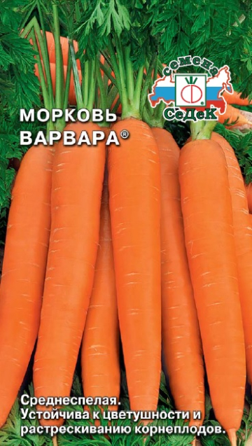 Морковь Варвара