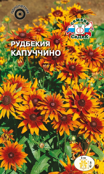 Рудбекия Капуччино
