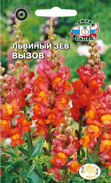 Львиный зев Вызов